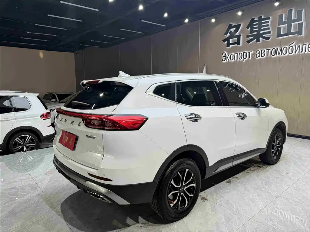 Haval H6 2021 Guochao Edition 1.5T Automatic Urban Edition