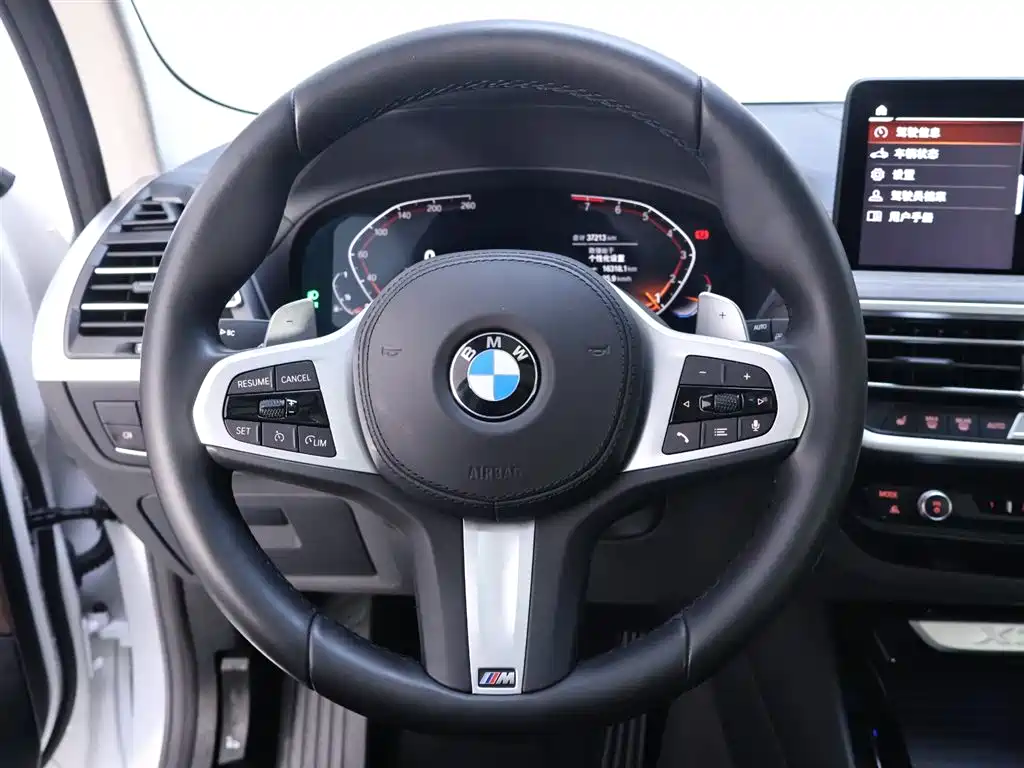 BMW X3 xDrive30i xLine M Sport