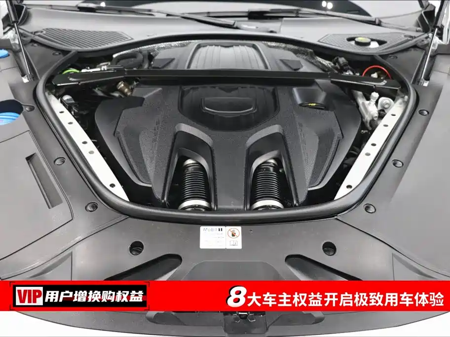 Porsche Panamera 2023 Panamera 2.9T Platinum Edition
