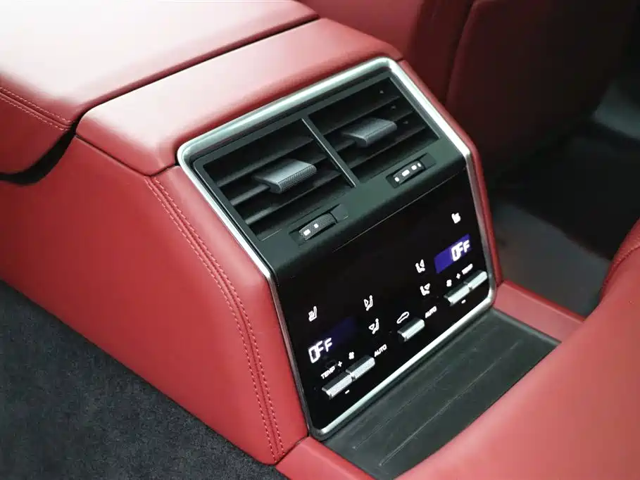 Porsche Panamera 2023 Panamera 2.9T Platinum Edition