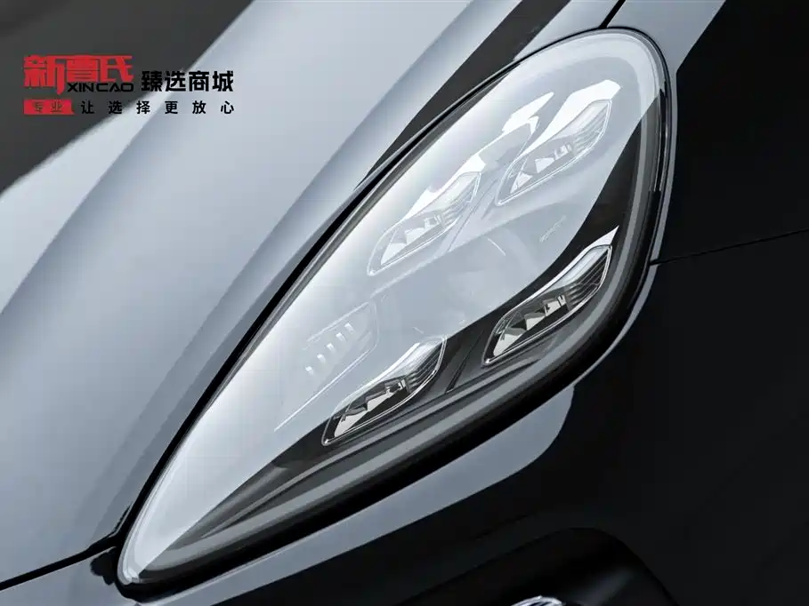 Porsche Cayenne 2022 Cayenne 3.0T Platinum Edition