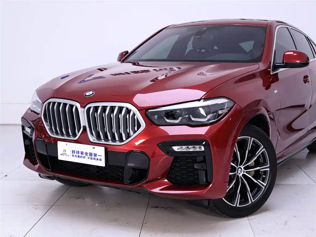 BMW X6 2020 xDrive30i M Sport Package