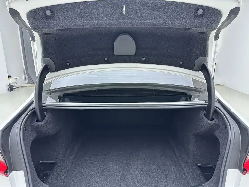 BMW 3 Series 2022 320Li M Sport