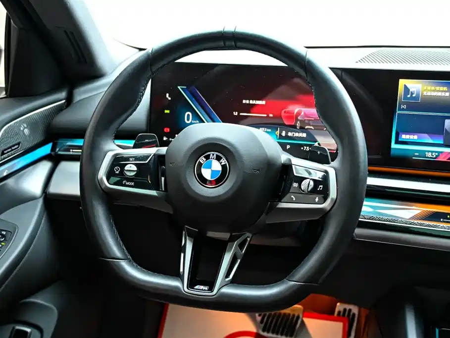 BMW 5 Series 2024 530Li Luxury Line M Sport Package