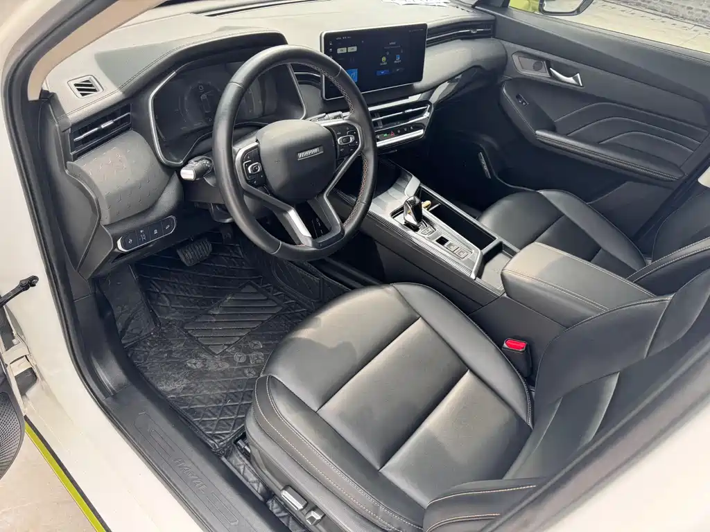 Haval Chitu 2022 Jinxiang Edition 1.5T Zhitong Rabbit