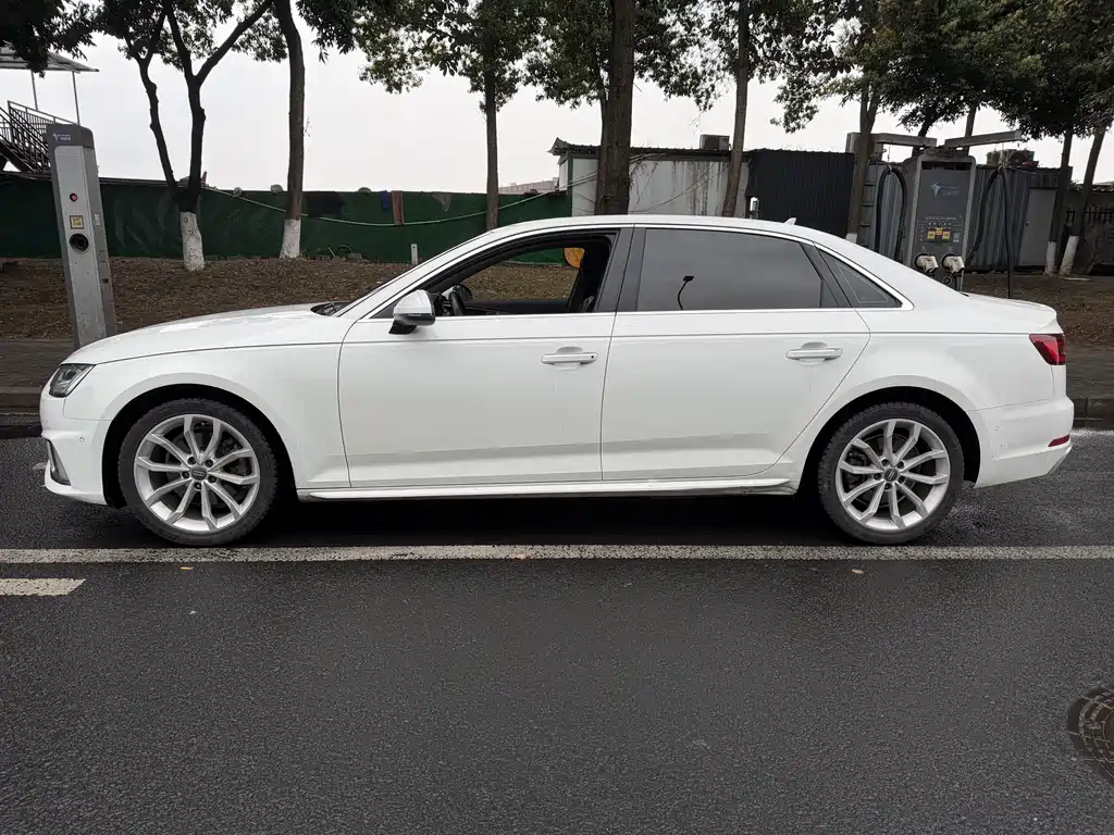 Audi A4L 2019 40 TFSI Fashion