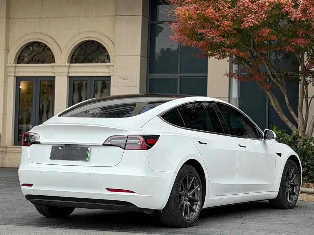 Model 3 2020 Standard Range Plus RWD