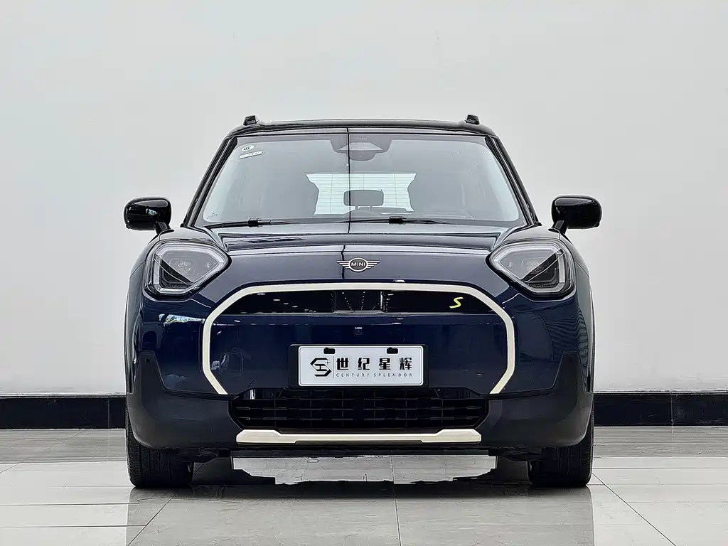 Electric MINI ACEMAN 2024 SE Artist
