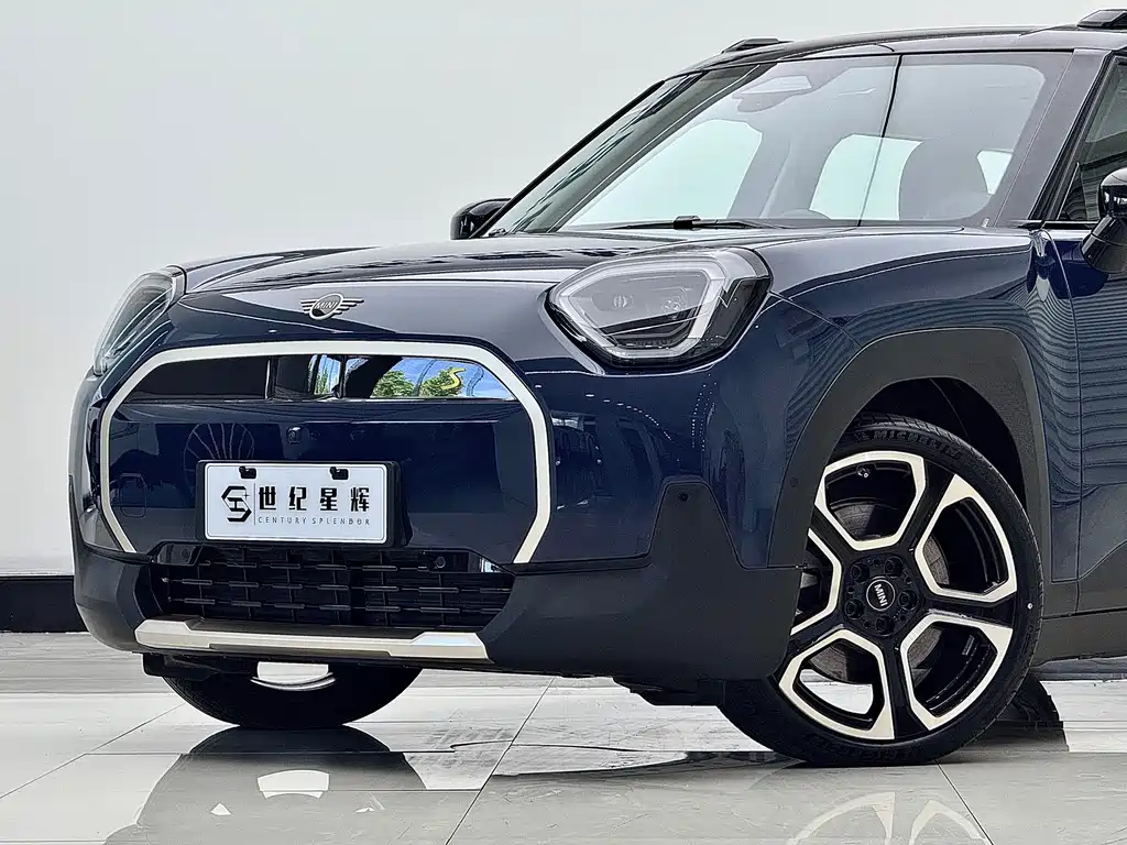 Electric MINI ACEMAN 2024 SE Artist