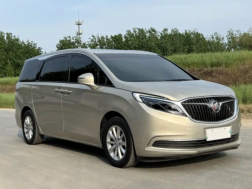 Buick GL8 2018 ES 28T Luxury Edition China VI