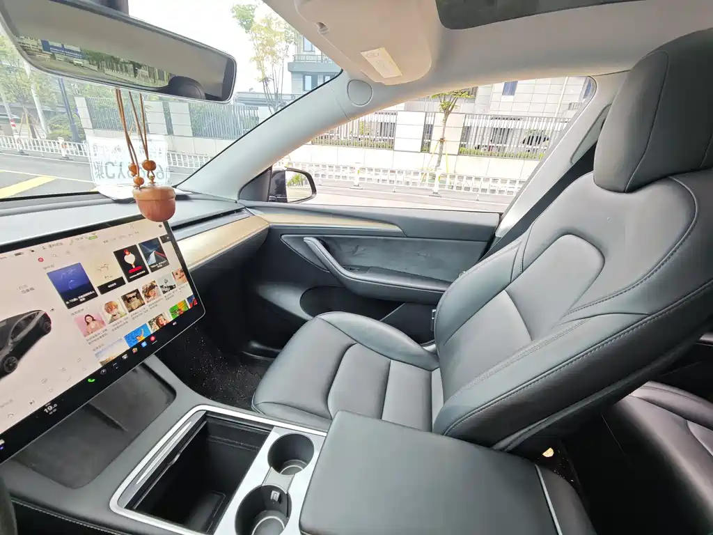 Model Y 2021 Standard Range RWD