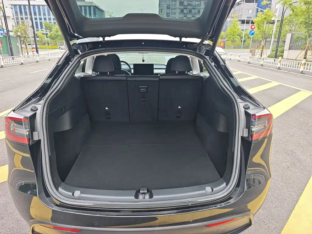 Model Y 2021 Standard Range RWD