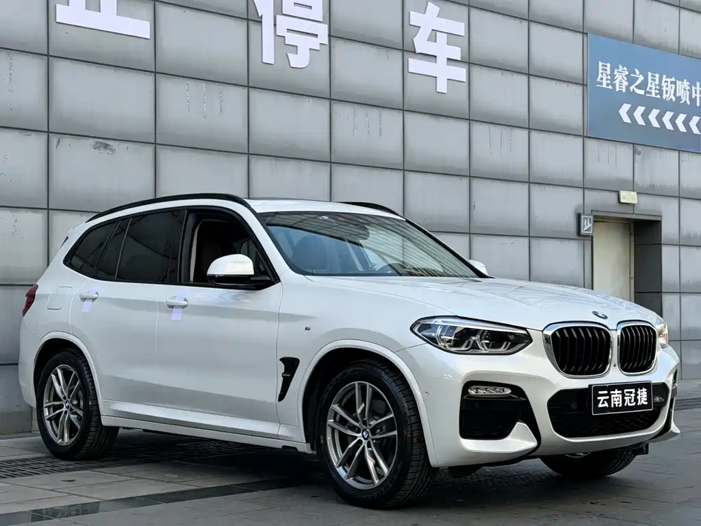 BMW X3 2018 xDrive30i Leading Edition M Sport Package China V