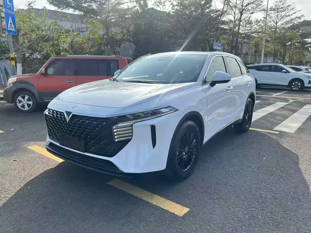 Venucia Big V 2022 260T Dark Horse Edition Aidou