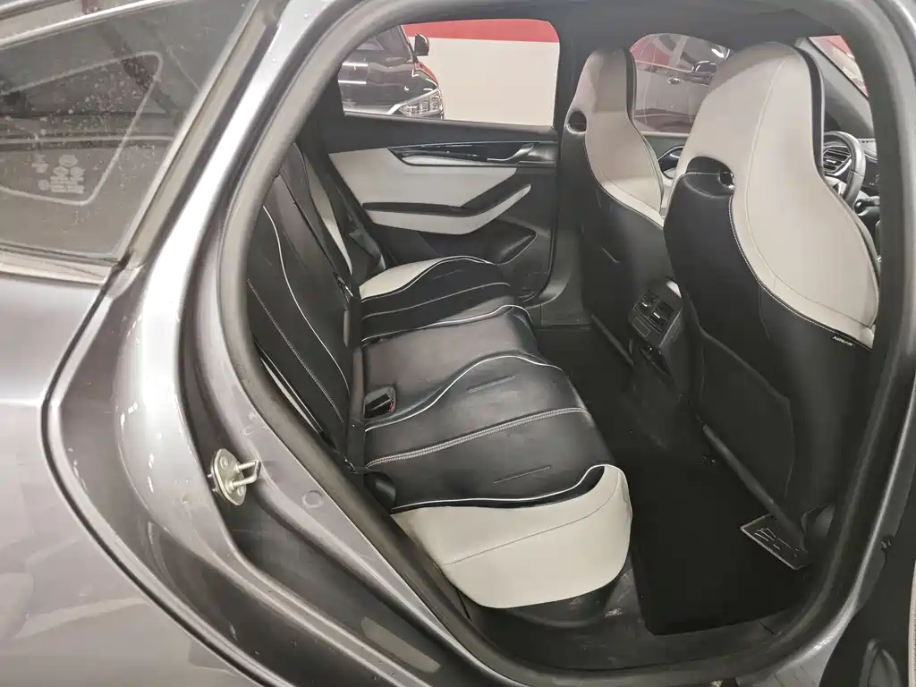 Qin PLUS 2021 EV 500KM Luxury