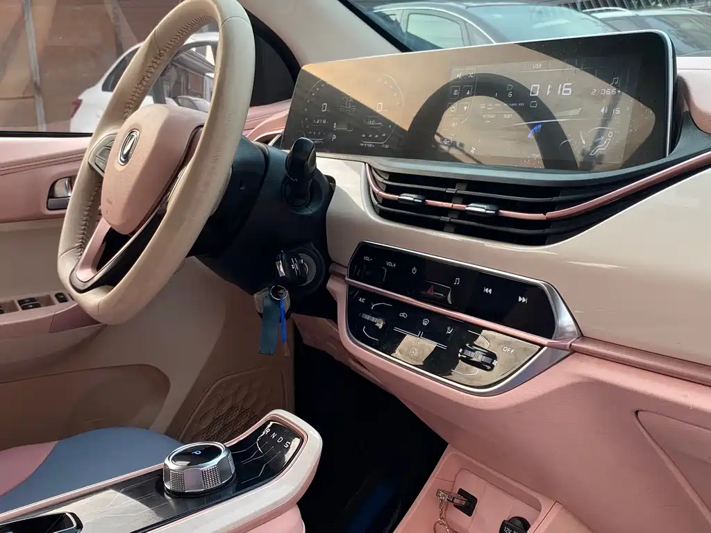 Changan Benben E-Star 2022 Shangxin Edition Colorful LFP