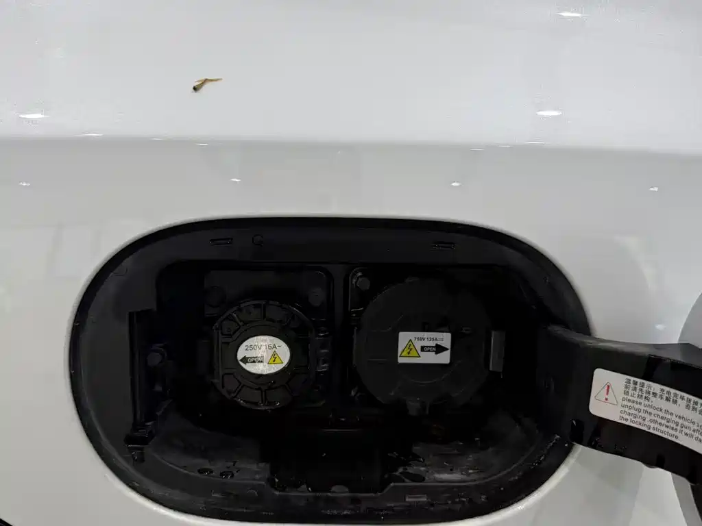 BYD Qin PLUS 2023 Champion Edition DM-i 120KM Excellence