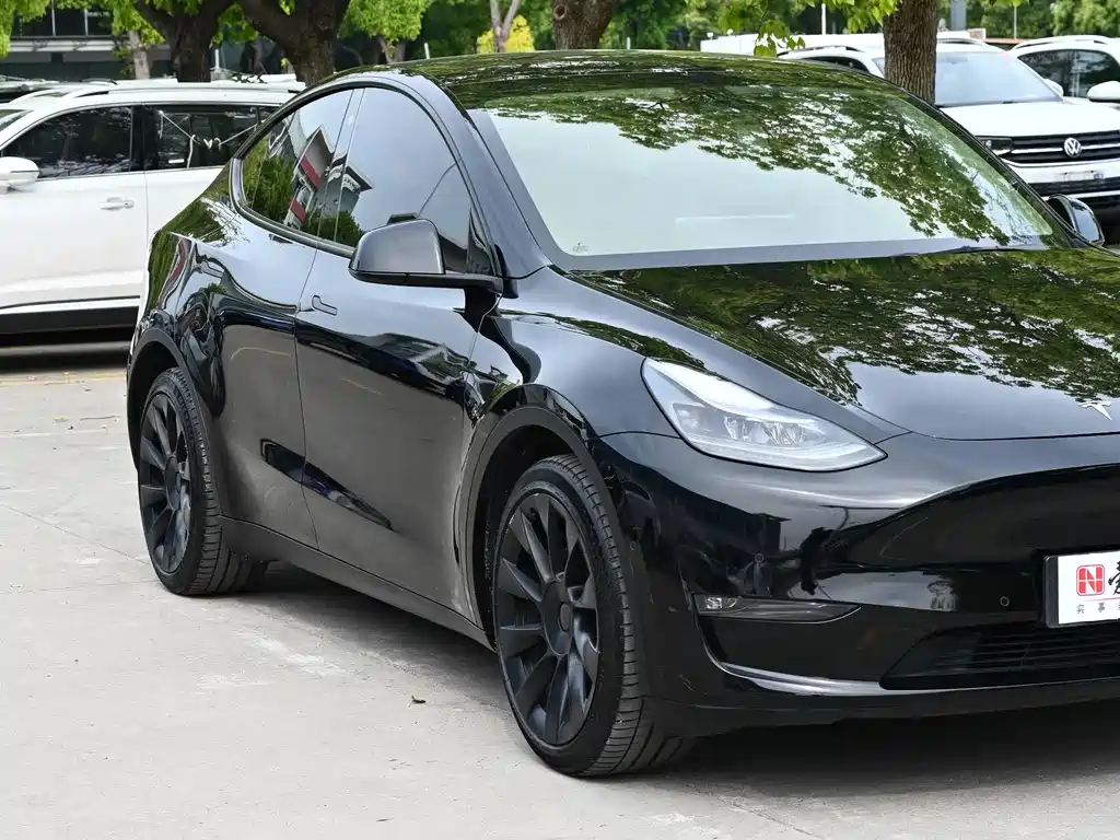 Model Y 2021 Long Range AWD