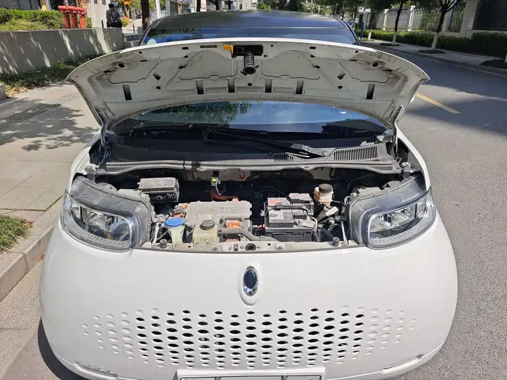 ORA White Cat 2022 Upgraded Edition 305km Luxury NCM
