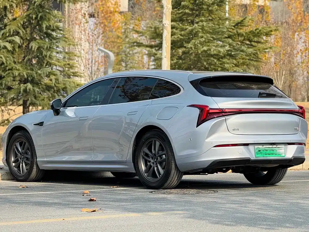 Neta S Shooting Brake 2024 EREV 300 Standard Edition