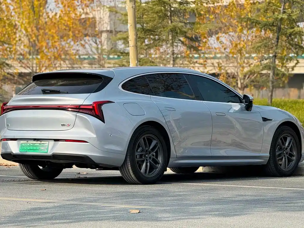 Neta S Shooting Brake 2024 EREV 300 Standard Edition