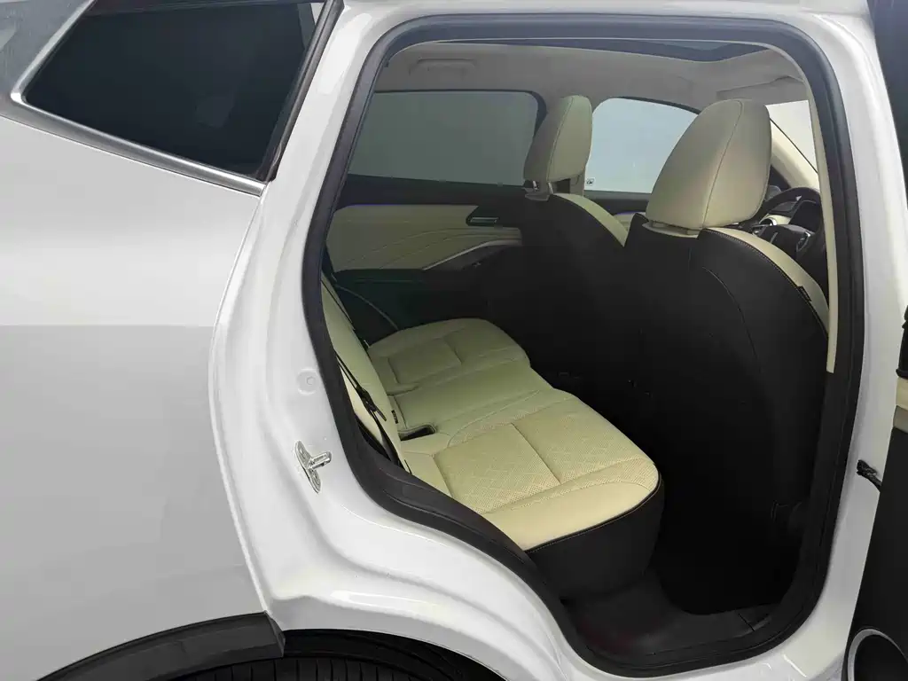 WEY VV6