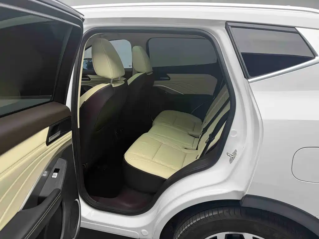 WEY VV6
