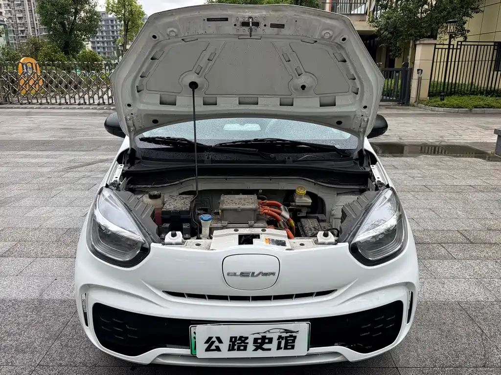 Roewe Clever 2022 311km Yuanqi Bobo Edition