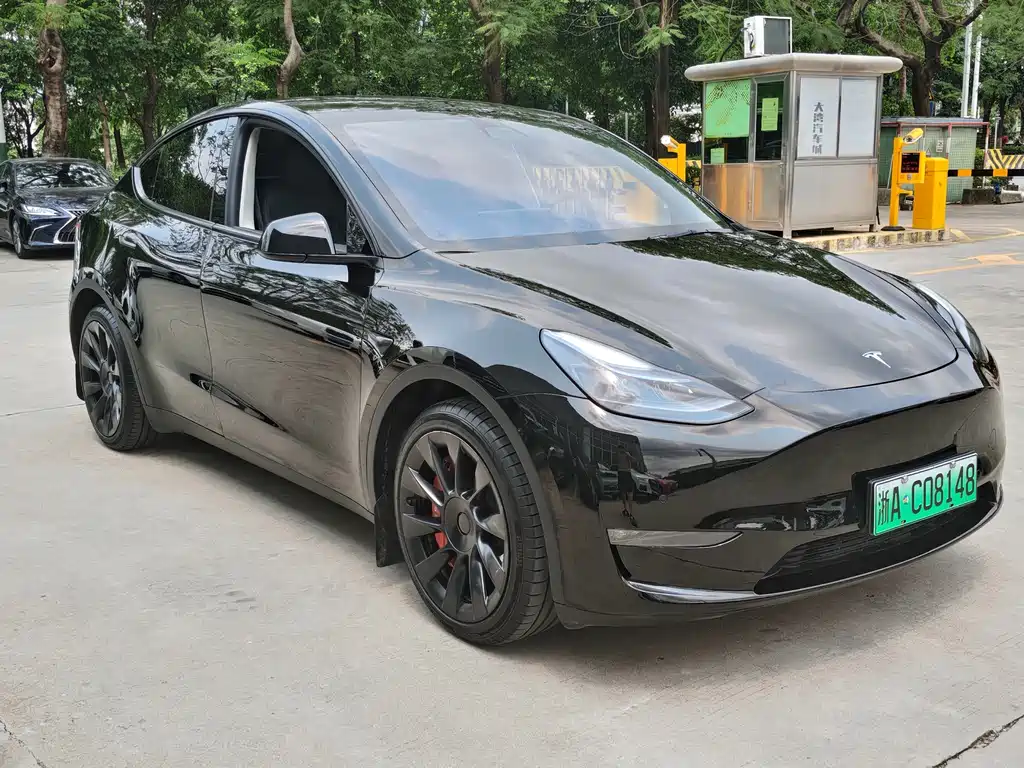 Model Y 2021 Long Range AWD 3D7