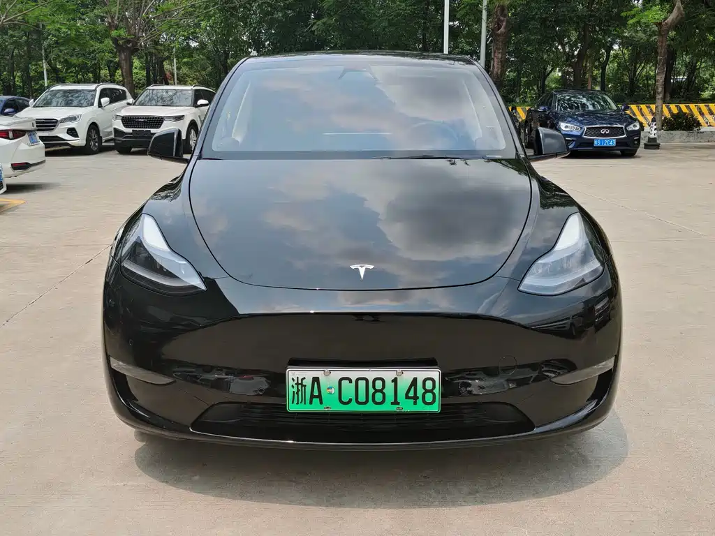Model Y 2021 Long Range AWD 3D7