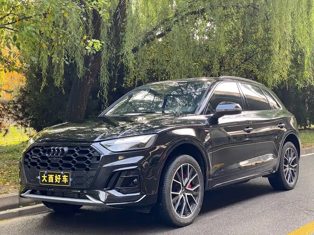 Audi Q5L 2024 45 TFSI Luxury Dynamic Edition