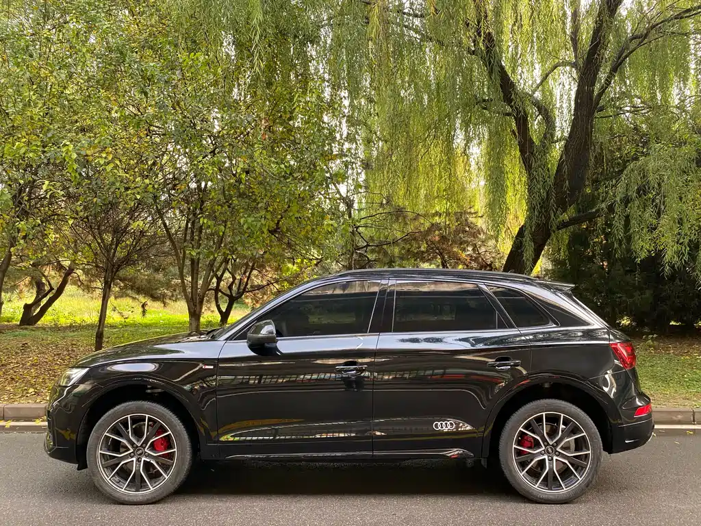Audi Q5L 2024 45 TFSI Luxury Dynamic Edition