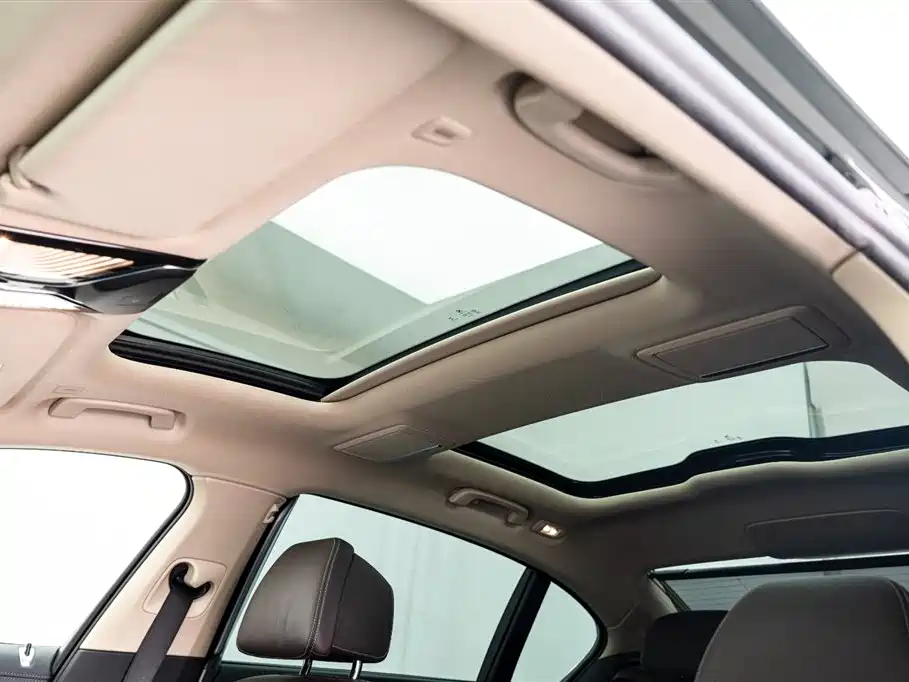 BMW 7 Series 2021 730Li Luxury Package