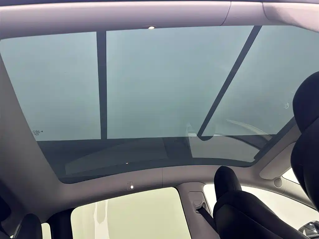 Model Y 2021 Standard Range Rear-Wheel Drive