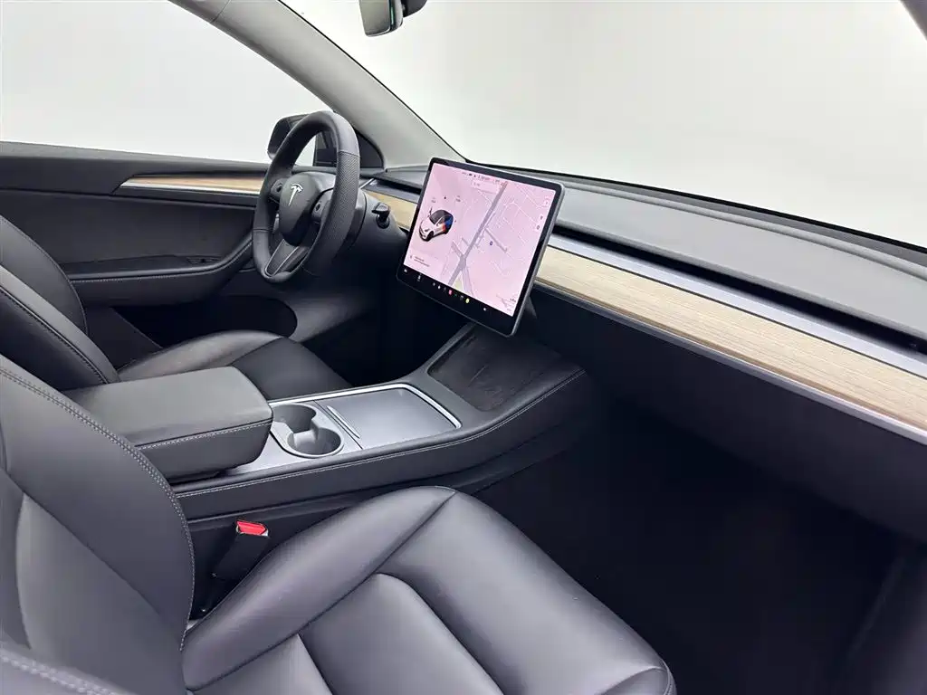 Model Y 2021 Standard Range Rear-Wheel Drive