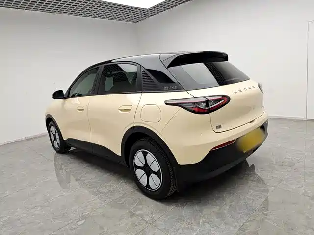 Geely Xingyuan 2025 310km Youth Edition