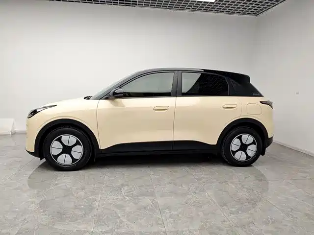 Geely Xingyuan 2025 310km Youth Edition