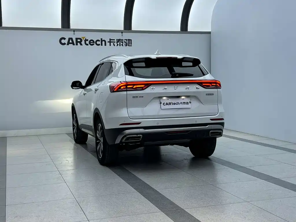 Haval H6 2023 National Trend Edition 1.5T Automatic Champion Edition