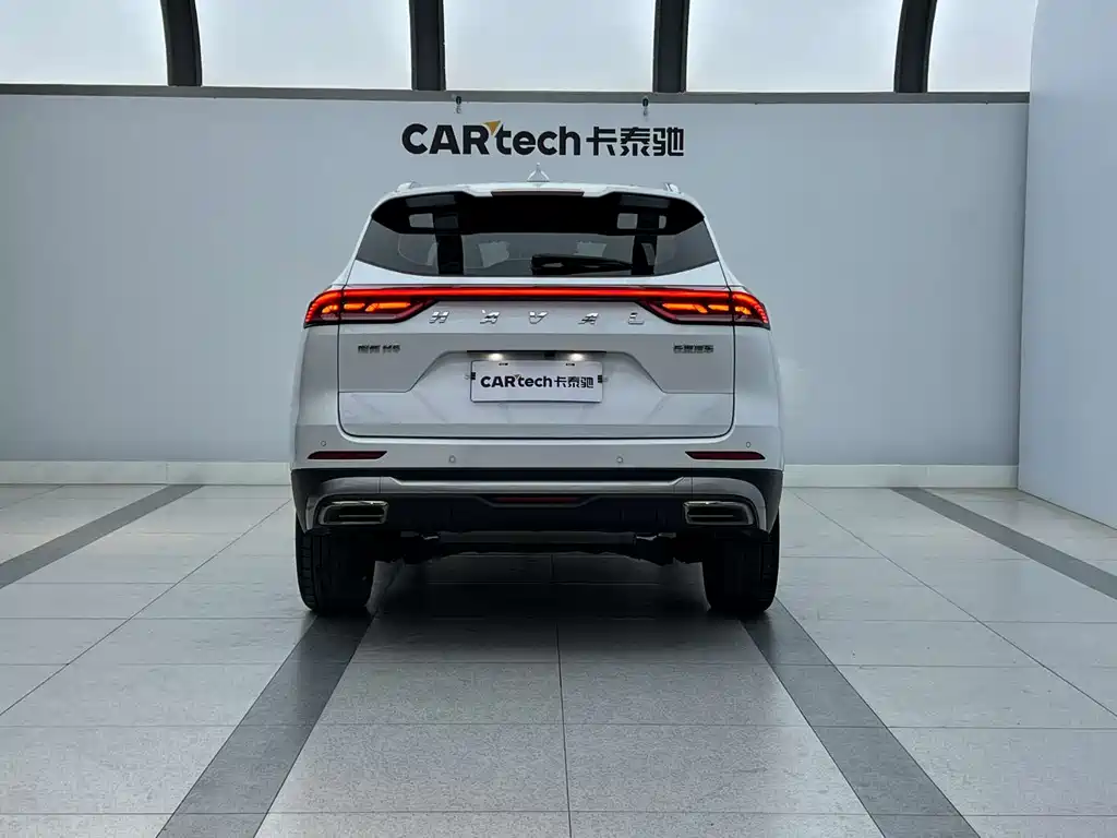 Haval H6 2023 National Trend Edition 1.5T Automatic Champion Edition