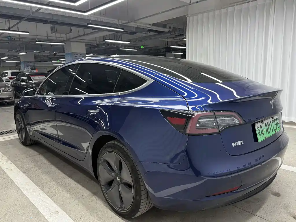 Tesla Model 3 2020 Standard Range Plus RWD