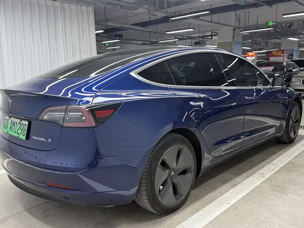 Tesla Model 3 2020 Standard Range Plus RWD
