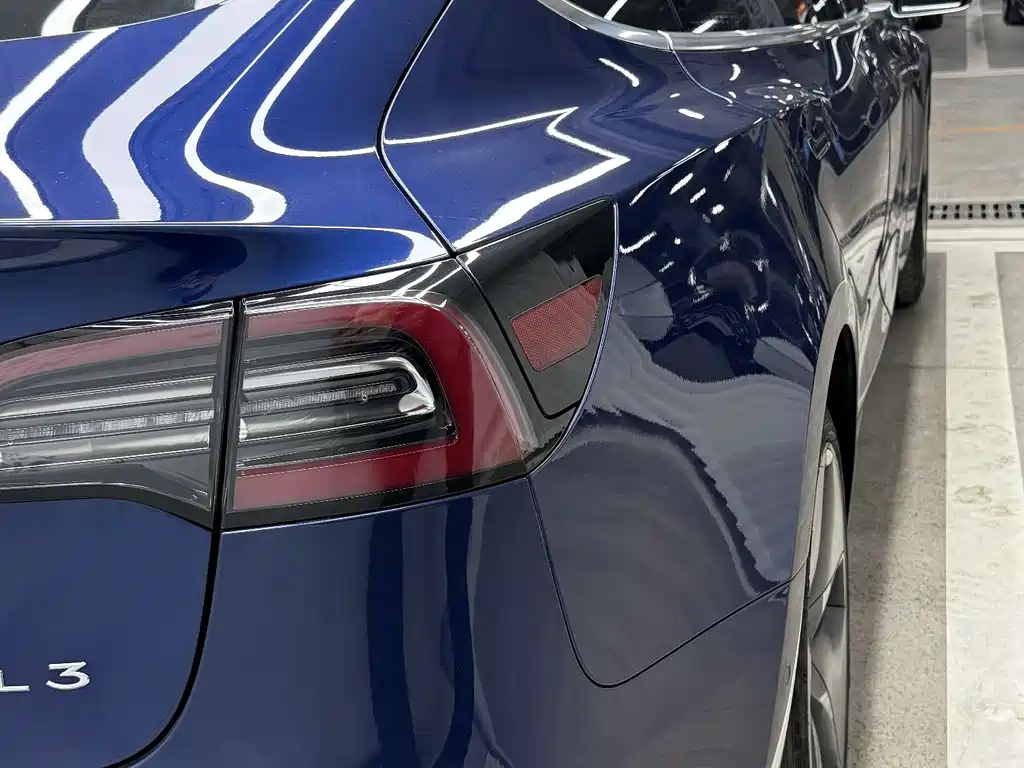 Tesla Model 3 2020 Standard Range Plus RWD