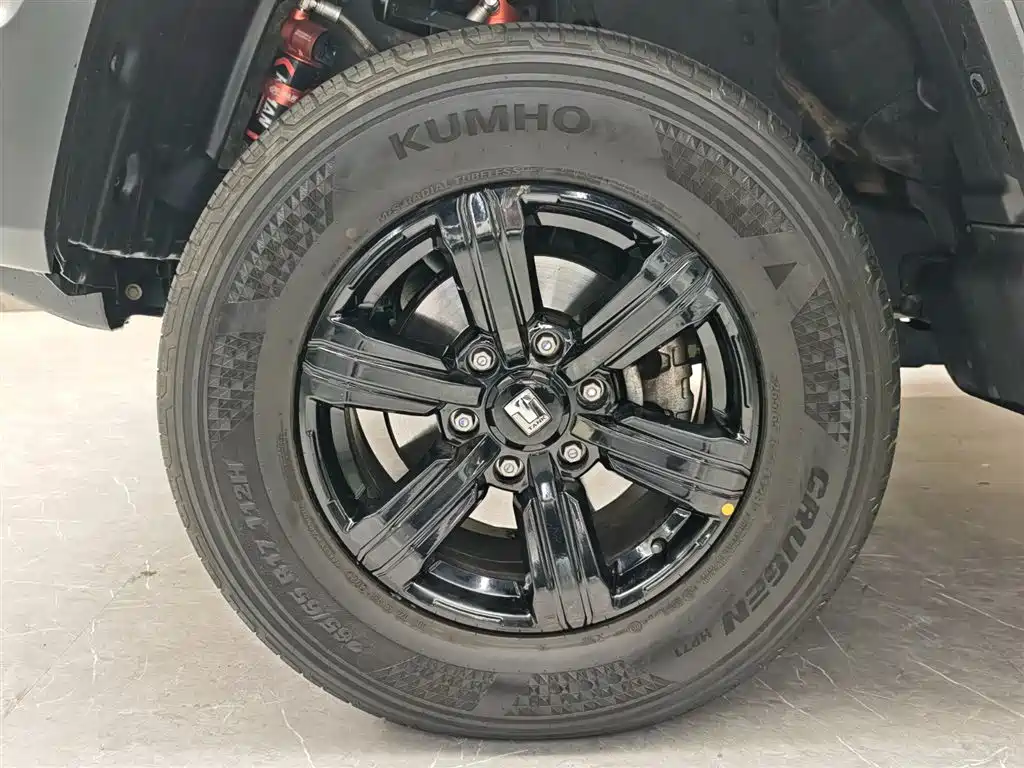 Tank 300 2021 Off-Road Edition 2.0T Conqueror