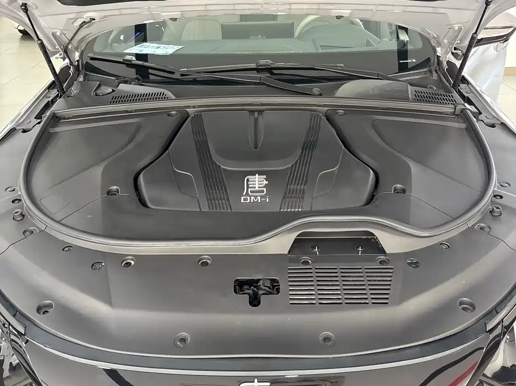 Tang New Energy 2025 Intelligent Driving Edition DM-i 115KM Flagship