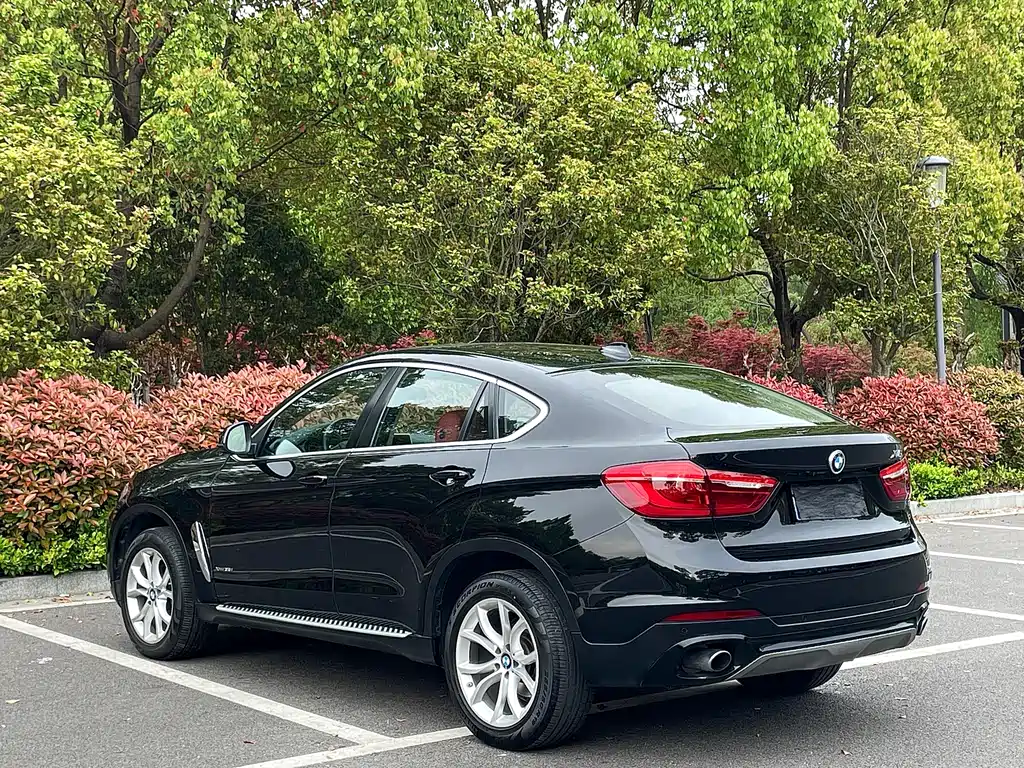 BMW X6 2017 xDrive35i Leading Edition