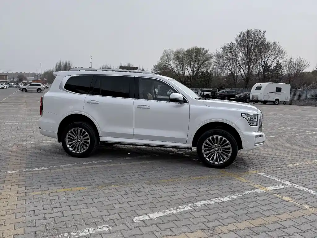Tank 500 2023 3.0T Business Edition Zaojing Type 5-Seater