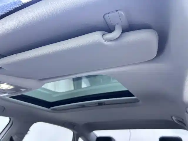 Volkswagen Lavida 2024 300TSI DSG Starry Sky Manyi Edition