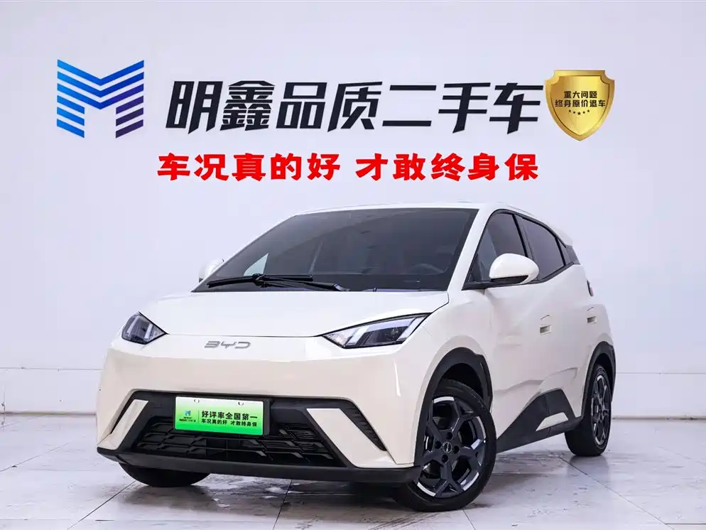 BYD Seagull 2025 305km Free Edition