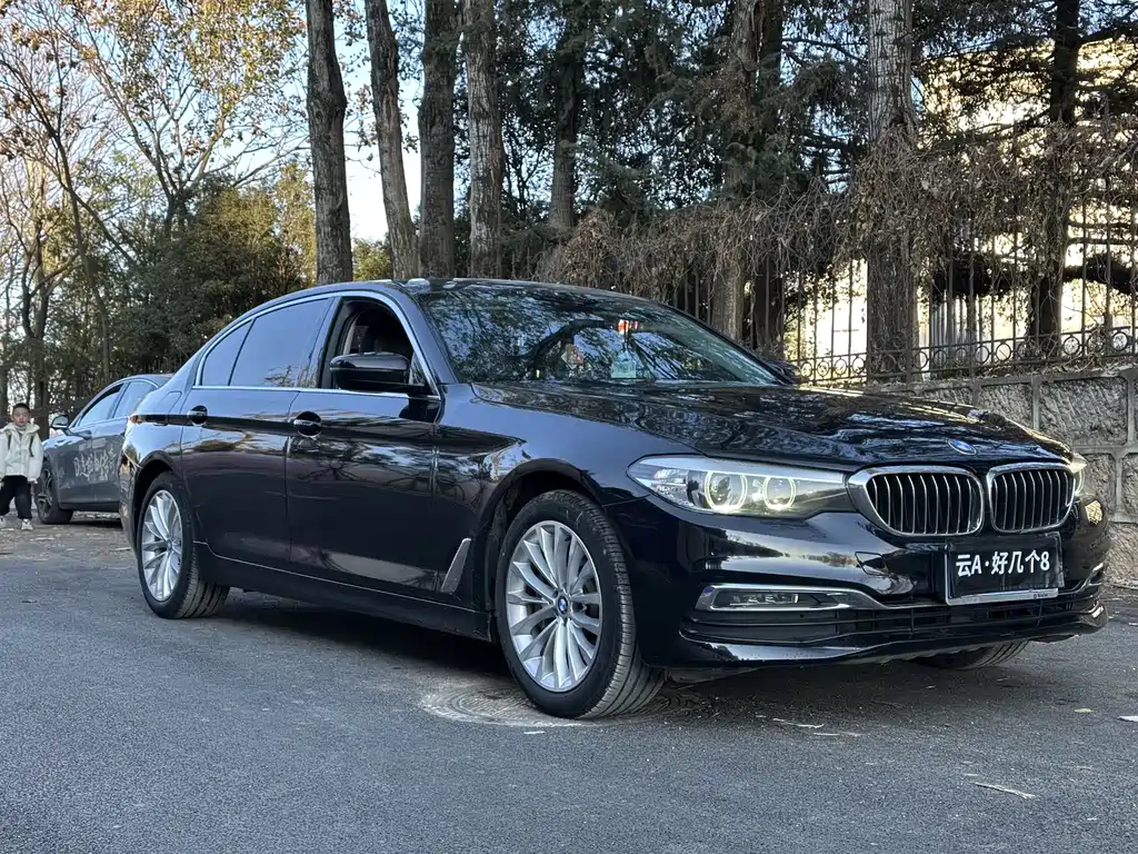 BMW 5 Series 2019 530Li Leading Edition Luxury Package