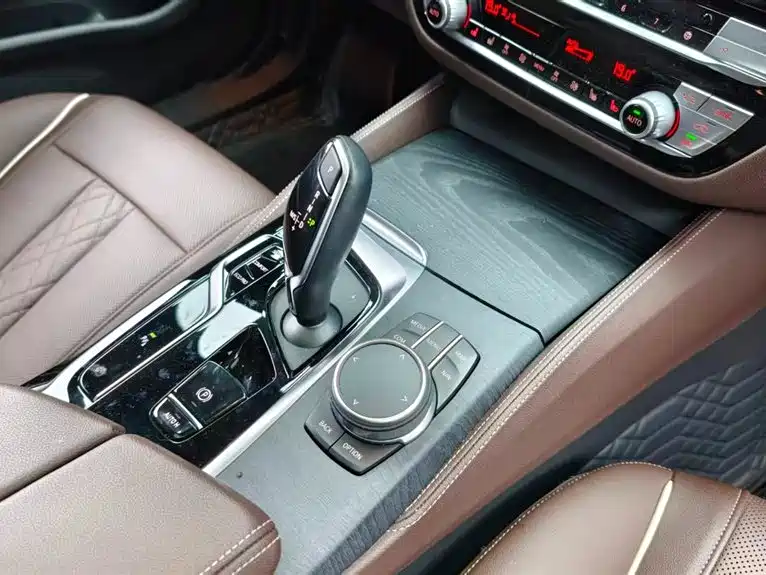 BMW 5 Series 2021 530Li Leading Edition M Sport Package